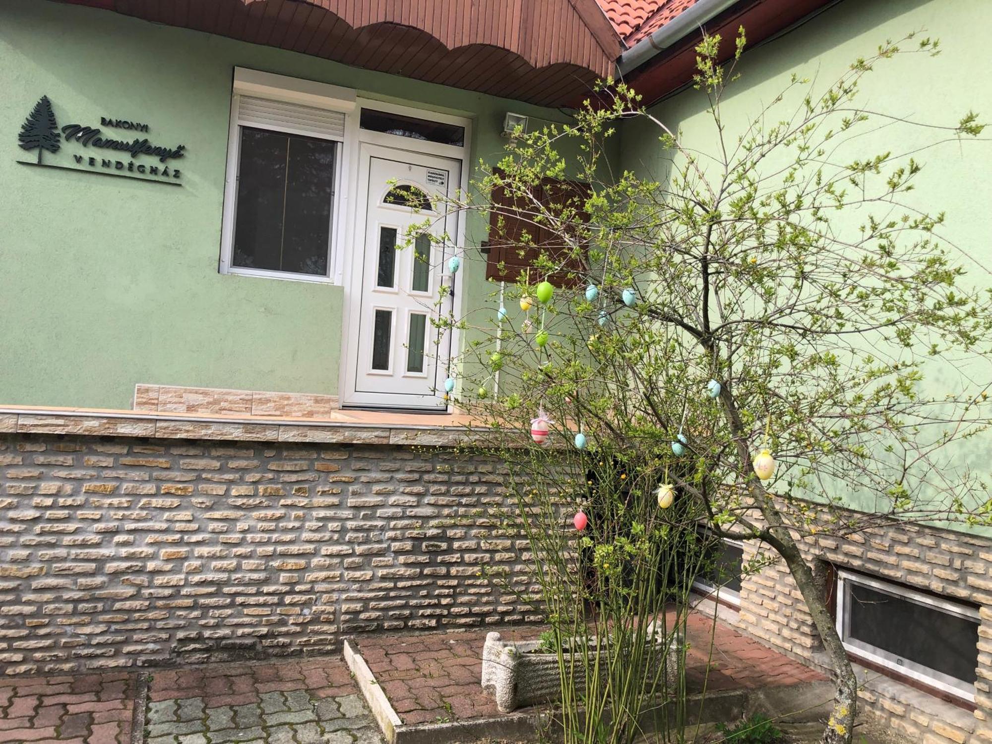 Bakonyi Mamutfenyo Vendeghaz Διαμέρισμα Tés Εξωτερικό φωτογραφία