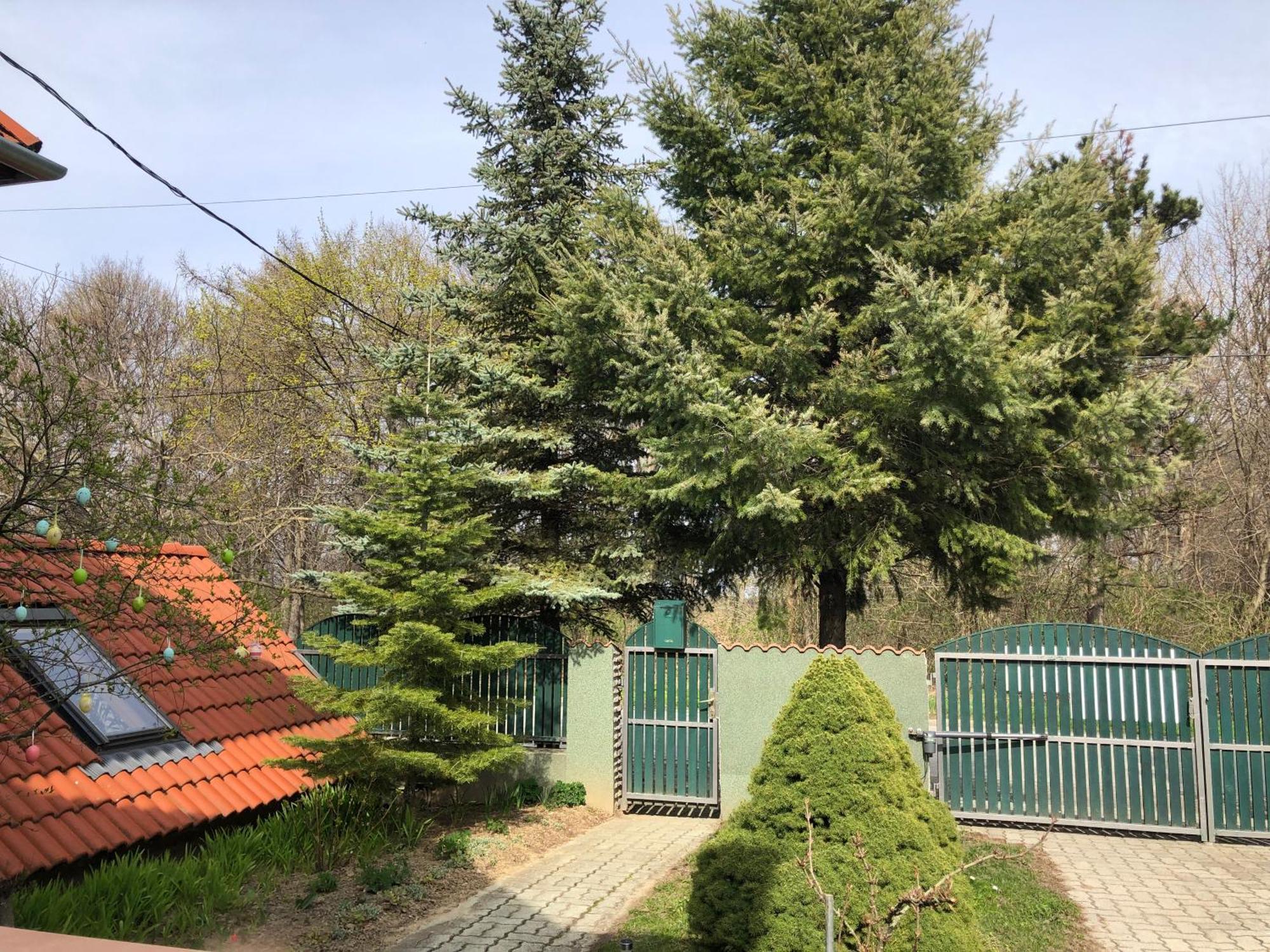 Bakonyi Mamutfenyo Vendeghaz Διαμέρισμα Tés Εξωτερικό φωτογραφία